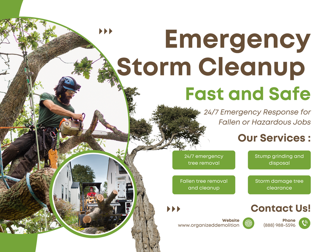 Say goodbye to pesky trees with our tree removal services in Winston Salem, NC. Call (888) 988-5596 for a free estimate today!